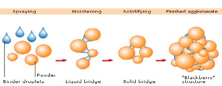 Agglomeration molecular process