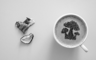 mushroom coffee powder