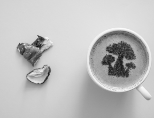 Mushroom Coffee Powder Demand Surges in 2026